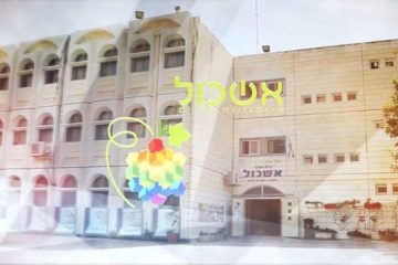 הפקת סרט תדמית לבית ספר אשכול