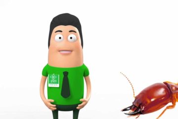 הפקת סרטוני אנימציה עם דמות פרזנטור – תלתן הדברה